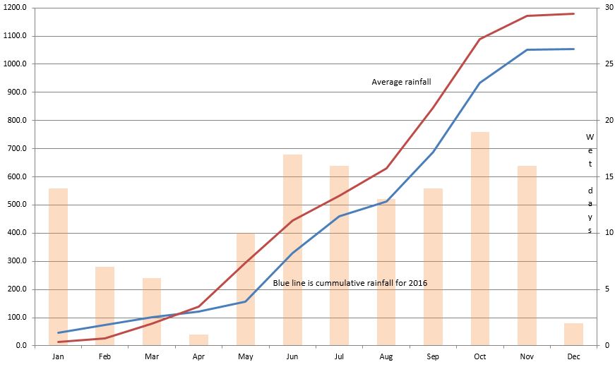 Pattaya rainfall